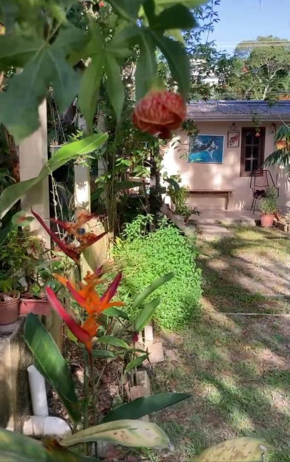 Casa Mico Leao Dourado Villa Bombinhas Eksteriør billede