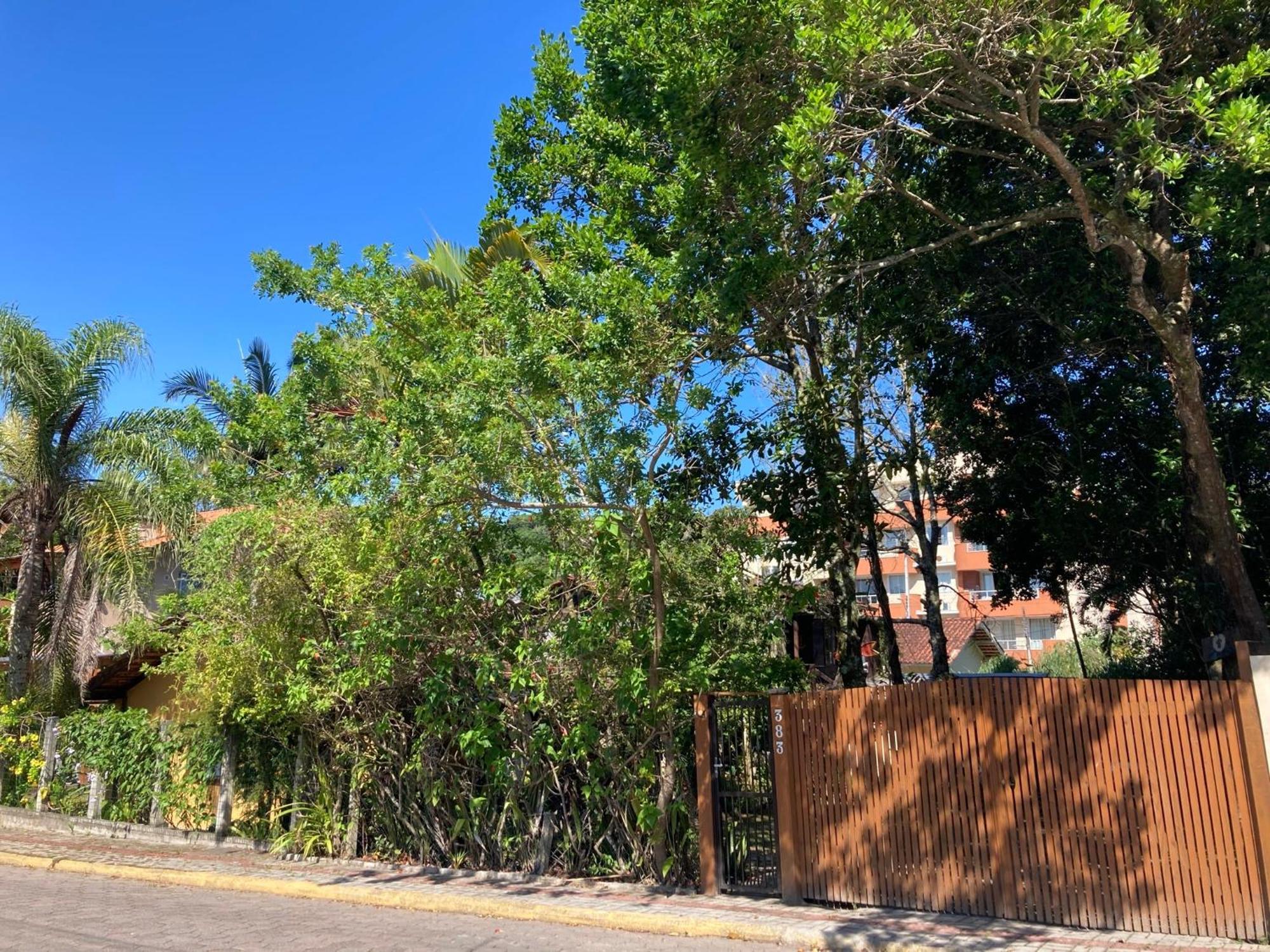 Casa Mico Leao Dourado Villa Bombinhas Eksteriør billede